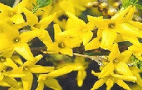 2010-08-12 14;59;37.jpg