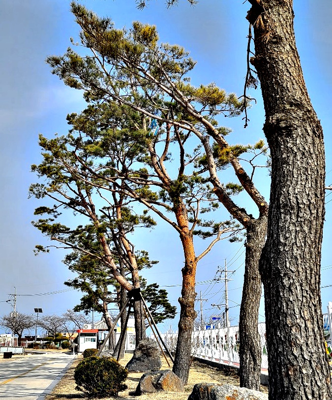 KakaoTalk_20220314_091023959_01.jpg